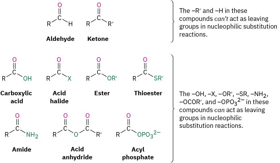 Aldehydes and ketones lack appropriate leaving groups for nucleophilic substitution, whereas compounds like carboxylic acids, acid halides, esters, thioesters, amides, acid anhydrides, and acyl phosphates have suitable leaving groups.