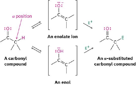 A carbonyl with an alpha hydrogen is shown in equilibrium with enol or enolate; either of these can then react with an electrophile to produce an alpha-substituted carbonyl.