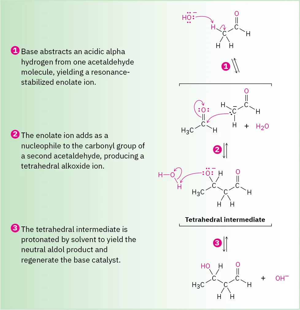 Mechanism of enolate formation: hydroxide abstracts alpha proton from acetaldehyde, carbanion attacks carbonyl of another acetaldehyde, protonation generates neutral 3-hydroxybutanal product.