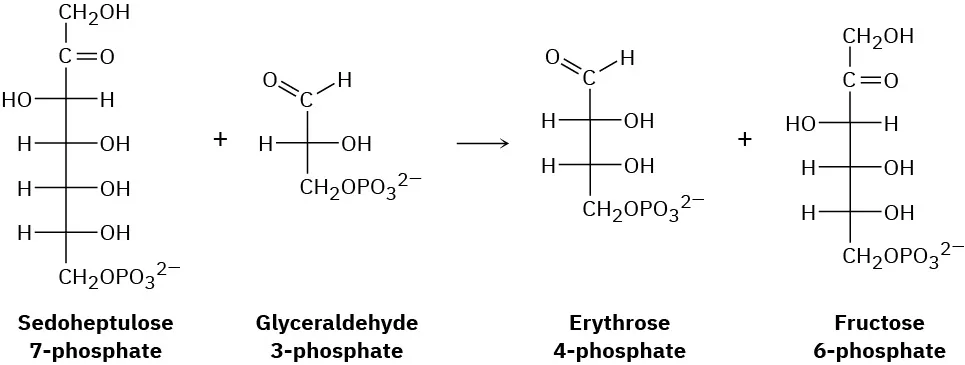 sedoheptulose-7-phosphate=