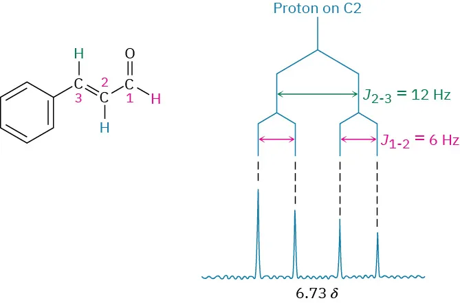 The structure of trans-cinnamaldehyde and proton on C 2 splitting tree diagram. The diagram shows J 2-3 values and J 1-2 values 12 and 6 Hertz, respectively.