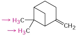 A structure of bicyclo[3.1.1.]heptane. C 2 has a methylene substituent. C 6 has two methyl substituents with highlighted hydrogens.