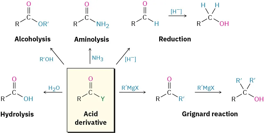 The flowchart shows different reactions of carboxylic acid derivatives, including hydrolysis (water), alcoholysis (alcohol), aminolysis (ammonia), reduction (hydride), and Grignard reaction.
