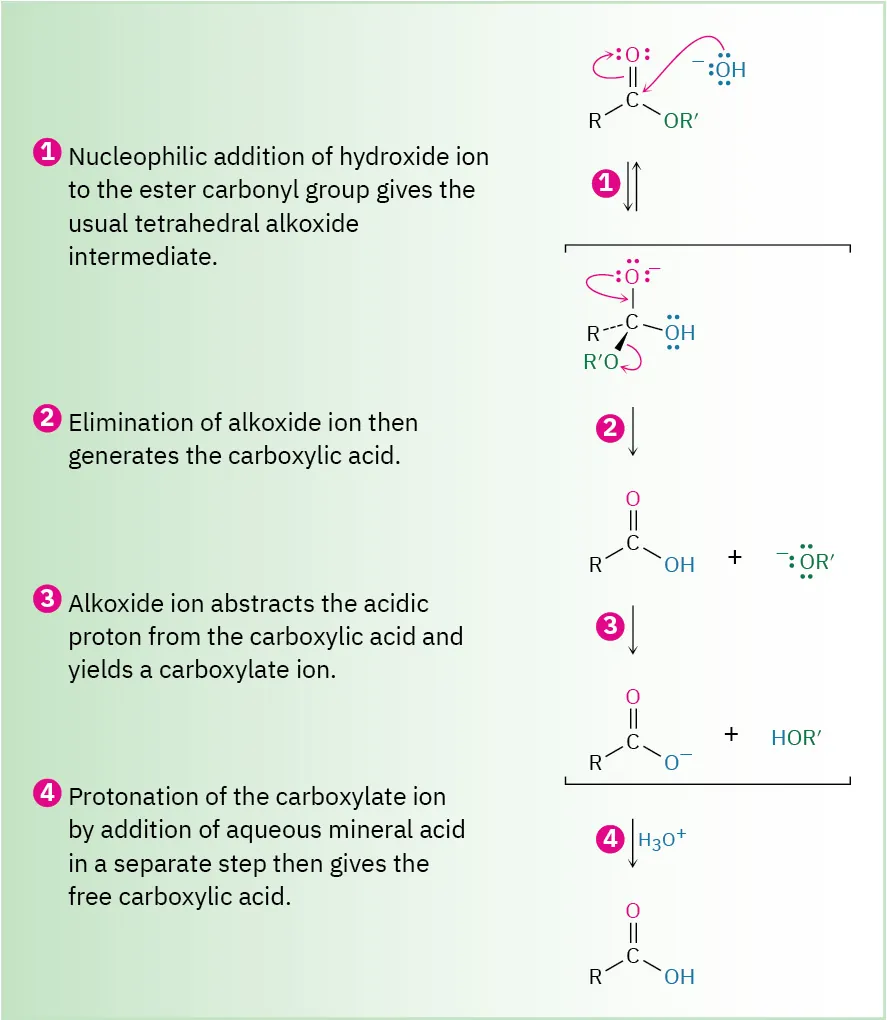 The curly arrow mechanism of saponification shows the four steps involved in forming a carboxylic acid from an ester in the presence of hydroxide ions.