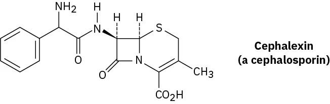 The structure shows cephalexin (a cephalosporin). A beta-lactam ring is present in the structure.