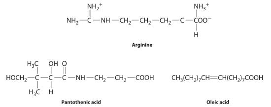 Arginine, Pantothenic Acid, and Oleic Acid