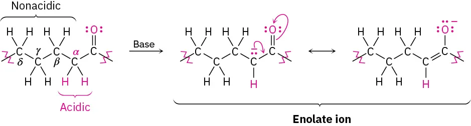 An alkane with alpha, beta, gamma, and delta carbon and double bond oxygen atom at C 1 gives two reversible forms of enolate ion in the presence of a base.