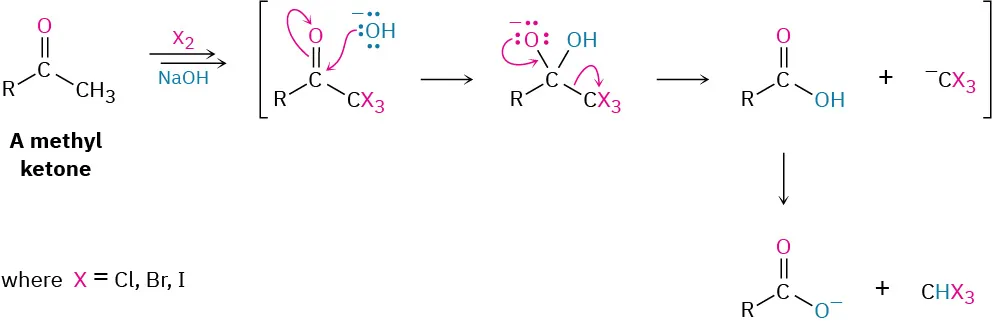 A methyl ketone reacts with X 2 and N a O H to form three intermediate structures, ultimately yielding a carboxylate ion and C H X 3 as the products.