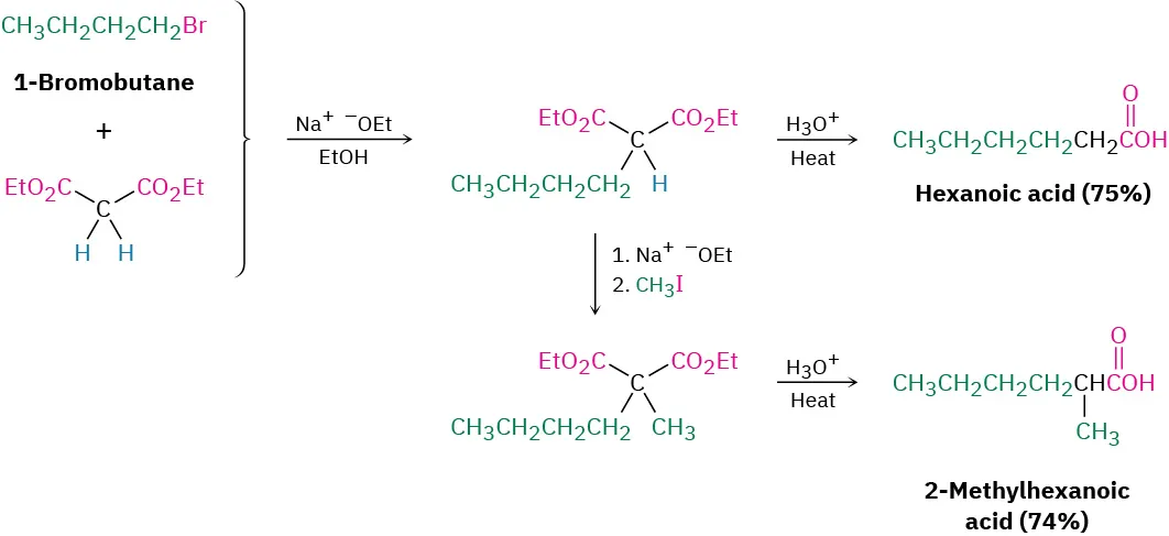 1-Bromobutane and diethyl malonate react with sodium ethoxide to give hexanoic acid via an intermediate. The intermediate can also react with sodium ethoxide and then methyl iodide to yield 2-methyl hexanoic acid.
