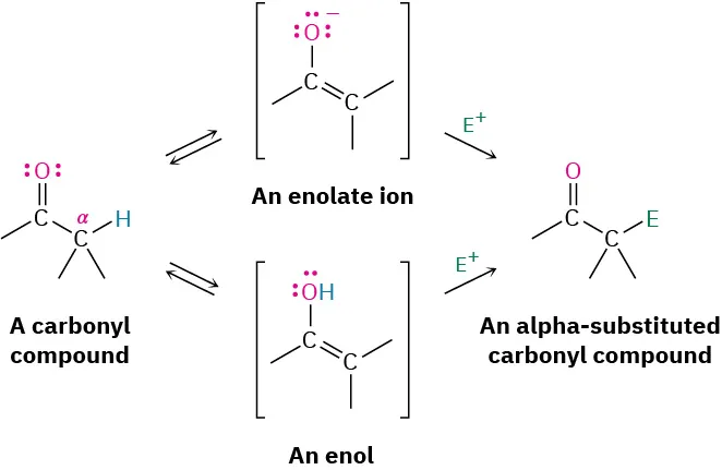 A flowchart shows two reactions of a carbonyl compound, one via an enolate intermediate and one via an enol, both forming an alpha-substituted carbonyl compound upon addition of an electrophile.