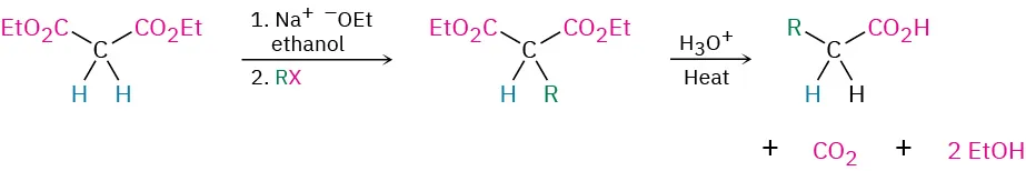 Diethyl malonate reacts with sodium ethoxide in ethanol and R X, followed by treatment with acid and heat gives a carboxylic acid product bearing an R group on the alpha carbon.