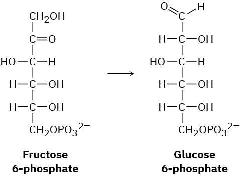 fructose-6-phosphate=