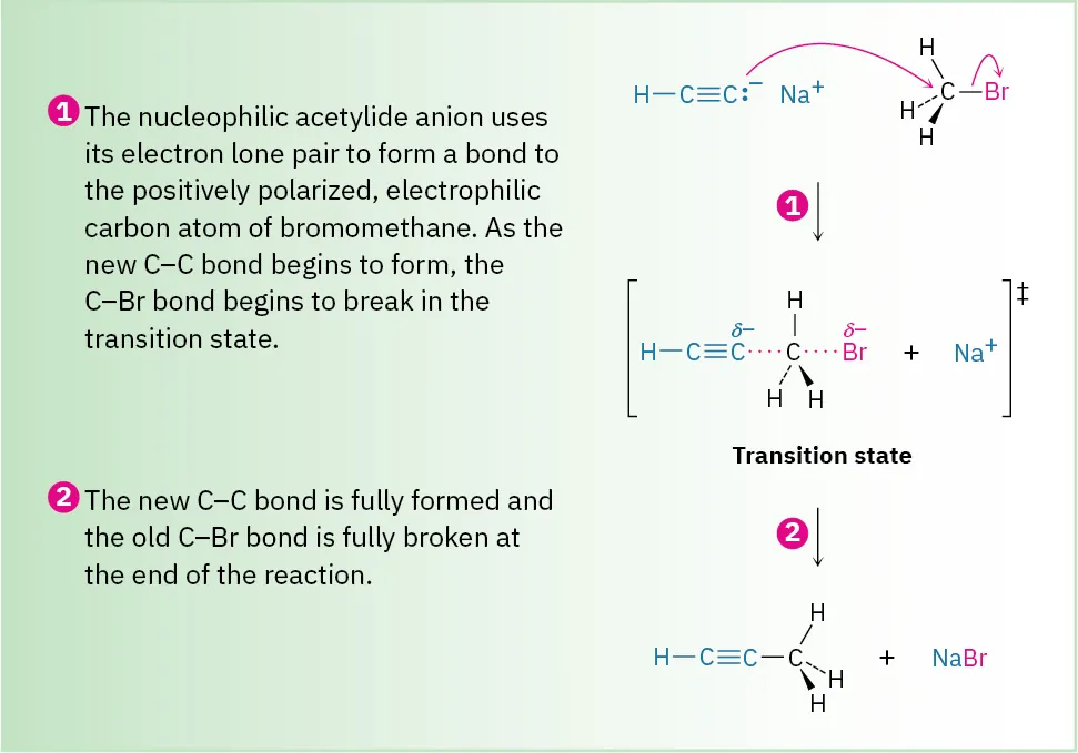 9.8: Alkylation of Acetylide Anions - Chemistry LibreTexts