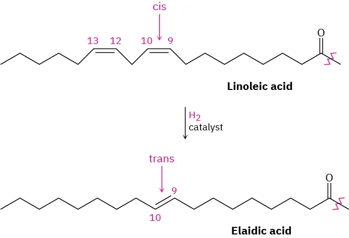 Linoleic acid reacts with hydrogen in the presence of catalyst to form elaidic acid. The double bond is in cis position for the reactant and trans position for the product.