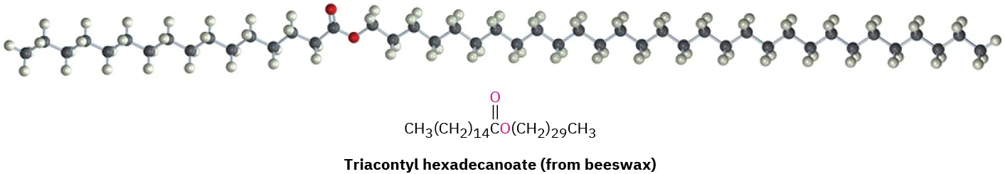 The ball-and-stick model of beeswax. The structure of triacontyl hexadecanoate is the major constituent of beeswax.