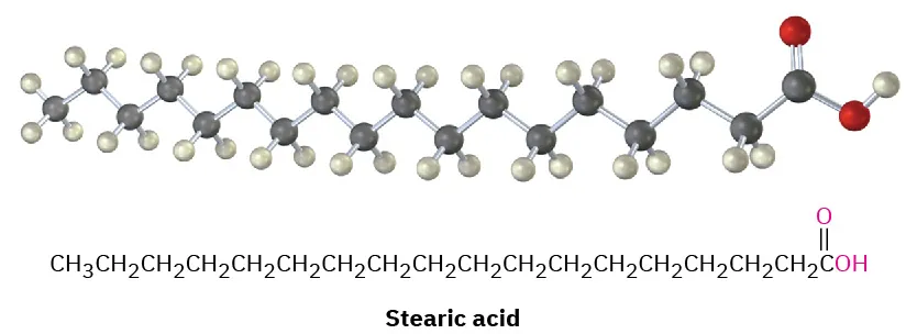 The ball-and-stick model and structure of stearic acid. It is an eighteen-carbon chain with a carboxylic acid group. Black, gray, and red spheres denote carbon, hydrogen, and oxygen, respectively.