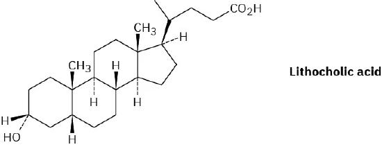 The figure shows the wedge-dash structure of lithocholic acid.