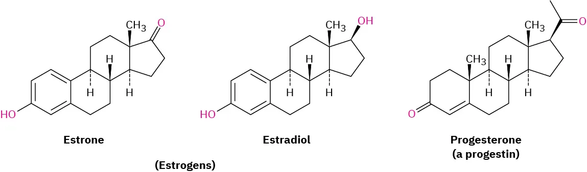 The three structures of estrogen named estrone, estradiol, and progesterone (a progestin).