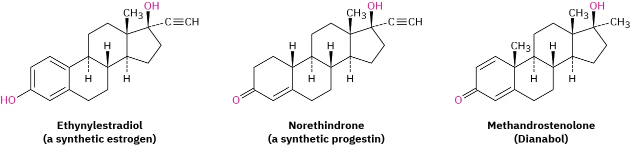 The structure of synthetic steroids named ethynylestradiol (a synthetic estrogen), norethindrone (a synthetic progestin), and methandrostenolone (Dianabol).