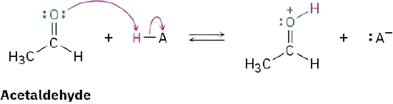 In a reversible reaction, acetaldehyde reacts with H A to form a protonated product and an anion.
