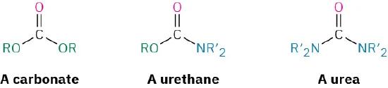 Structures of a carbonate (carbonyl with two O R groups), a urate (carbonyl with O R and N R 2), and a urea (carbonyl with two N R 2 groups).