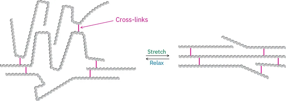 The unstretched form of an elastomer stretches to form another elastomer. This elastomer relaxes to form the unstretched elastomer.