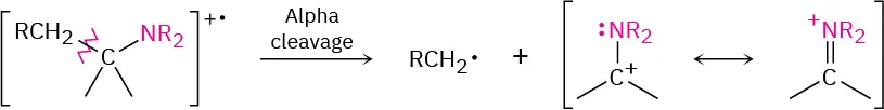 The alpha cleavage of an alkyl group from an aliphatic amine radical cation yields an alkyl radical and an aliphatic amine cation with resonance.