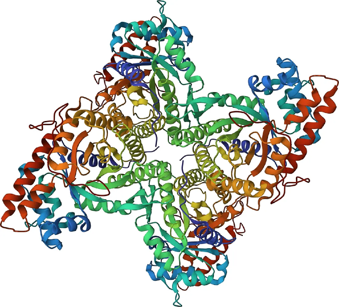 A ribbon diagram of a protein comprising multiple regions in various colors.