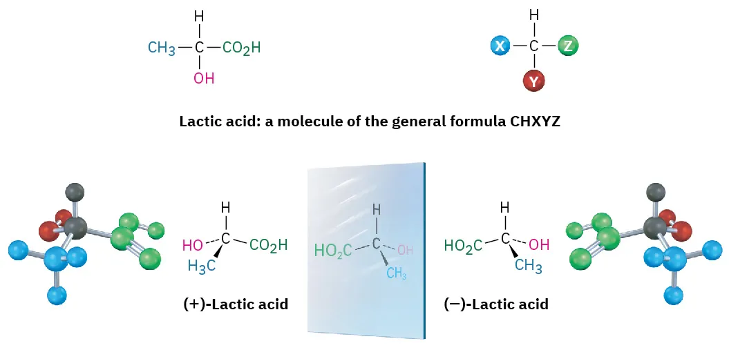 Structure of lactic acid with a molecule of the general formula C H X Y Z. Ball-and-stick model and structure of (plus)-lactic acid with its mirror image, displaying (minus)-lactic acid.