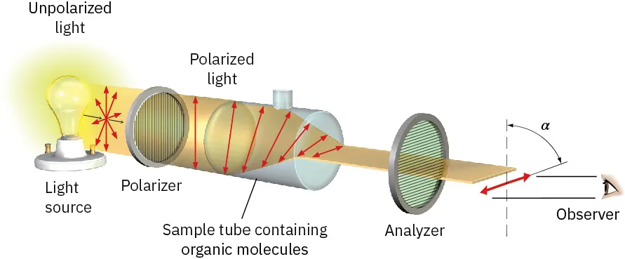 Schematic representation of a polarimeter. Unpolarized light from light source passes through polarizer, followed by polarized light, sample tube containing organic molecules, analyzer, and observer.