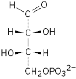 Vertically, aldehyde dashed bond carbon bond carbon dashed bond C H 2 phosphate. C 2 has hydrogen (left), hydroxyl on wedges, C 3 has hydroxyl (left), hydrogen on wedges.