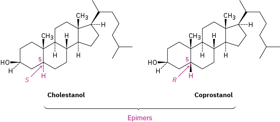 The wedge-dash structures of cholestanol and coprostanol are labeled epimers. C5 of cholestanol and coprostanol are labeled S and R, respectively.
