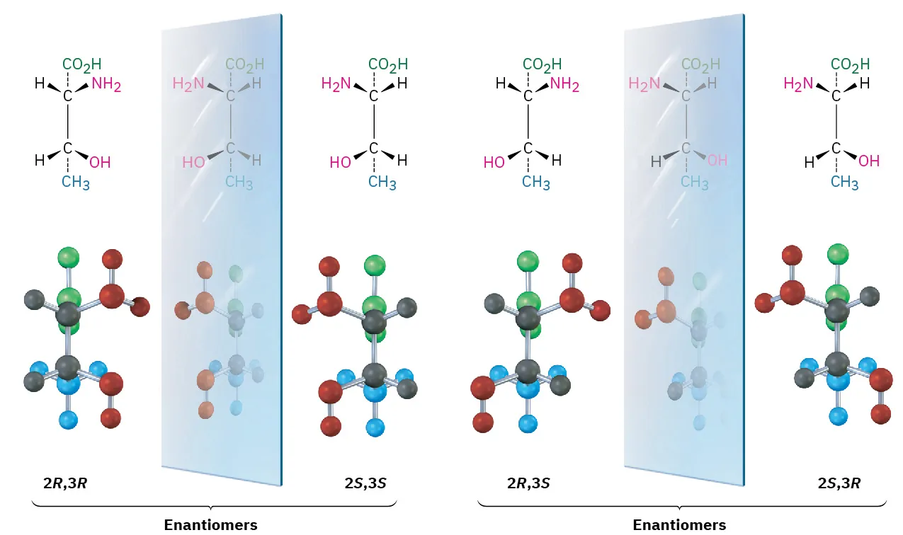 The figure shows the wedge-dash structures and ball-and-stick models of enantiomer pairs of 2-amino-3-hydroxybutanoic acid. 2R, 3R mirror image is 2S, 3S. 2R, 3S mirror image is 2S, 3R.