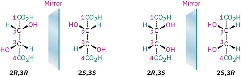 The mirror image of 2 R, 3 R tartaric acid is 2 S, 3 S and mirror image of 2 R, 3 S tartaric acid is 2 S, 3 R.