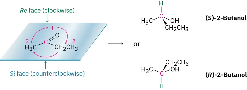 2-Butanone is labeled Si face (counterclockwise) at the bottom and Re face (clockwise) at the top. To the right, the structures of (S)-2-butanol and (R)-2-butanol are drawn.