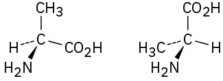 A carbon is single-bonded to methyl (top), carboxylic acid (right), wedge bonded to amine (front), and dash bonded to hydrogen (left). The second structure, the positions of substituents are different.