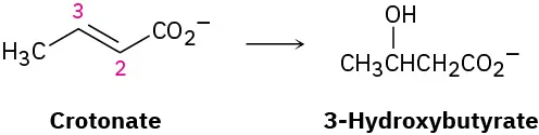 The figure shows a reaction where crotonate converts to 3-hydroxybutyrate. In crotonate, the double bond is between C2 and C3.