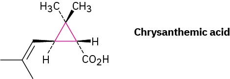 The wedge-dash structure of chrysanthemic acid.