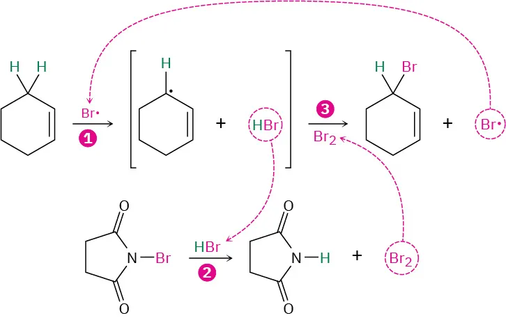 The mechanism of allylic bromination of an alkene with N B S involving three steps. Bromoalkene and a Br radical are the final products.