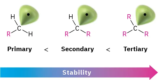 The structures and stabilities of carbon radicals, where secondary radicals are more stable than primary, and tertiary radicals are the most stable.