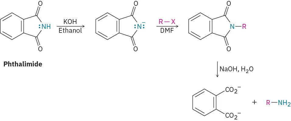 فتالیمید با هیدروکسید پتاسیم و اتانول، سپس آلکیل هالید و N، N-dimethylformamide، سپس هیدروکسید سدیم و آب واکنش می دهد تا یک آمین اولیه تشکیل دهد.
