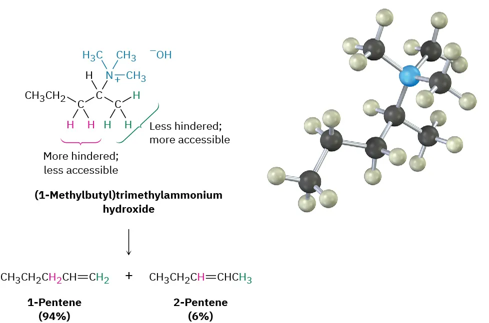 (1-Methylbutyl)trimethylammonium hydroxide (ball and stick also shown) reacts to form 1-pentene and 2-pentene. The more hindered, less accessible (C 2) and less hindered, more accessible (C 1) hydrogens are labeled.