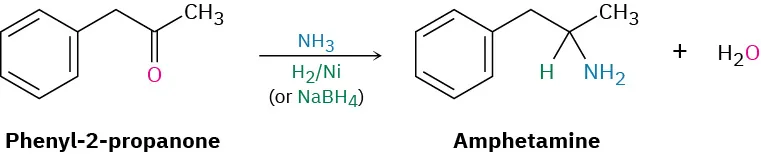 Phenyl-2-propanone reacts with ammonia, hydrogen, nickel or sodium borohydride to form amphetamine and water.