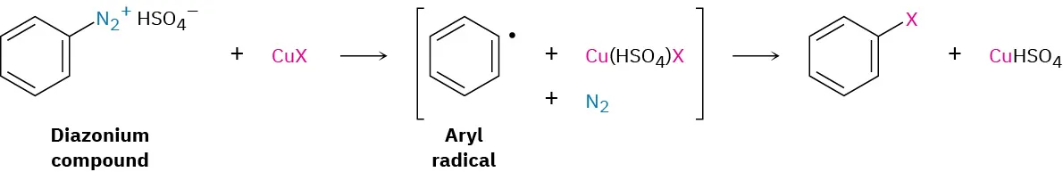 Diazonium compound reacts with copper halide to form an aryl radical. This reacts to form a product in which benzene is substituted with an X group.