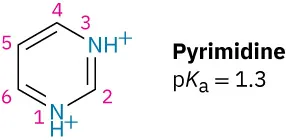 Structure of pyrimidine with atoms numbered. Value of p K a is 1.3.