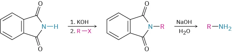 Phthalimide reacts with potassium hydroxide, then alkyl halide to form a product in which N-H gets replaced by N-R bond. This reacts with sodium hydroxide and water forming primary amine.
