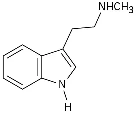 یک ایندول با جایگزین C H 2 C H 2 N H C H 3 در C 3.