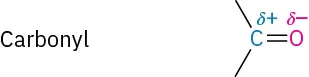 Carbonyl has a carbon with two open single bonds and a partial positive charge double bonded to an oxygen with a partial negative charge.