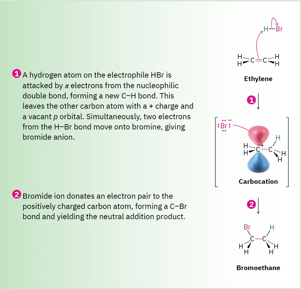 A 2-step reaction mechanism shows ethylene reacting with hydrogen bromide to form bromoethane via a carbocation intermediate.