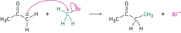 Acetone with a carbanion on C 1 reacts with methyl bromide to form 2-butanone and a bromide ion. Arrows depict electrons flow from carbanion.